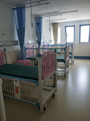 Reizbare justierbare Krankenhaus-Baby-Krippe der Rückenlehne-zwei